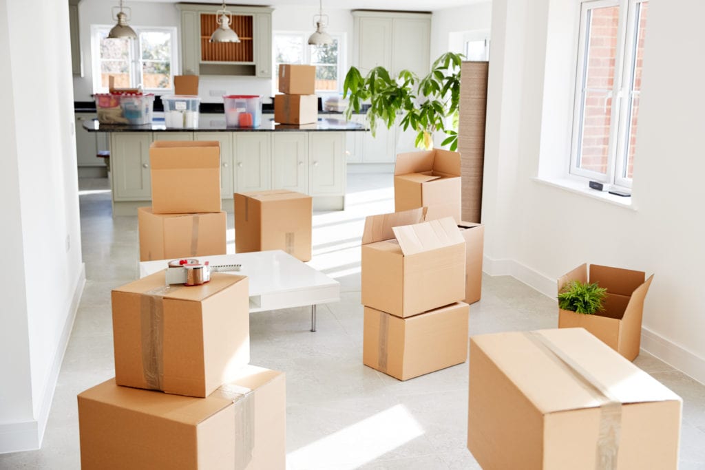 Photo of moving scene with boxes, moving supplies, plants and table